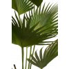 umělá květina Fan Palm