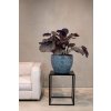 Designová hedvábná kalatea, Maranta, umělá květina, Fleur Ami