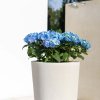 Květináč, váza, Polystone Conical, krémová, bílá, Fleur Ami