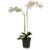 Umělé květiny, orchidej, Fleur Ami