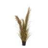 Cortaderia tráva, umělá květina, Fleur Ami