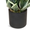 Sansevieria, lněná rostlina, umělá květina, rostlina, Fleur Ami
