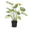 Monstera, umělá květina, Fleur Ami