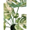 Monstera, umělá květina, Fleur Ami