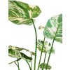 Monstera, umělá květina, Fleur Ami
