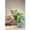 Monstera, umělá květina, Fleur Ami