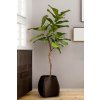 Ficus Lyrata, houslový fíkus, umělá květina, Fleur Ami