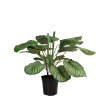 Kalatea, Calathea, Košíková maranta, umělá květina, Fleur Ami