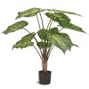 Kalatea, Calathea, Košíková maranta, umělá květina, Fleur Ami