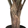 Kalatea, Calathea, Košíková maranta, umělá květina, Fleur Ami