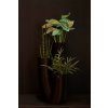 Sansevieria cylindrica, válcovité konopí, umělá květina, rostlina, Fleur Ami