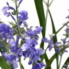 Levandule, umělá květina, rostlina, Fleur Ami