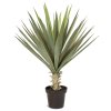 Agave, Agave sisalana, umělá rostlina, Fleur Ami