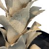 Agave, Agave sisalana, umělá rostlina, Fleur Ami