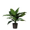Spathiphyllum, umělá rostlina, Fleur Ami