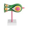 barevní ptáci, soška, Birds 1967, Design House Stockholm