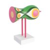 barevní ptáci, soška, Birds 1967, Design House Stockholm