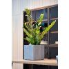 šedá, květináč, Argento Cube Natural Grey, Luca Lifestyle