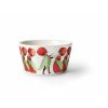 Beskow Bowl StrawberryFamily iso