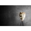 2095 Conia medium brushed brass raw wall environment