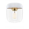 2105 Acorn white polished brass