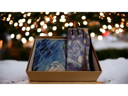 Sada v dárkové krabičce Vincent van Gogh - Hvězdná noc/Hvězdy nad Rhonou