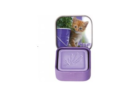 082aed37a457a2e22b6a25ddaaa68984 mmf220x220