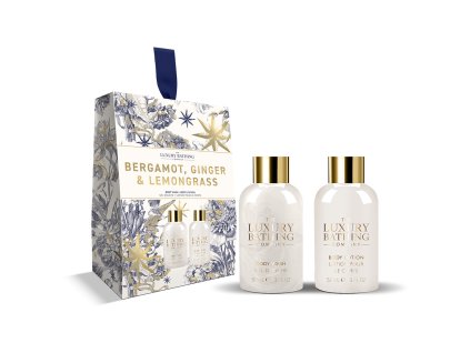 88732 rs2400 bgl2507002 20 20mini 20duo upr