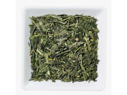 Snímek obrazovky 5 2 2026 103243 www.bylinca.cz