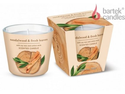 Svíčka ve skle Oriental Wood - Sandalwood 115g BARTEK CANDLES