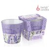 Svíčka v konickém skle 115g Lovely Lavender - Lavender Lemonade