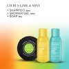 88354 4 citrus lime mint sada s peci o telo a vlasy 3 ks