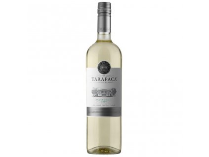 tarapaca pinot grigio