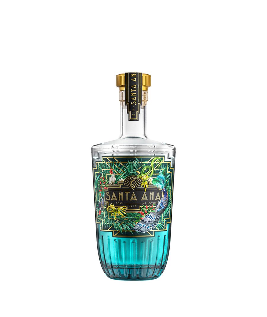 gin santa ana 42,0% 0,7l (holá láhev)