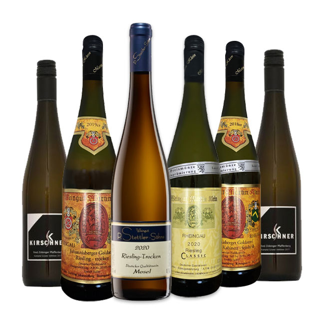 Degustační sada vín - Ryzlink (Riesling) 6x0,75l