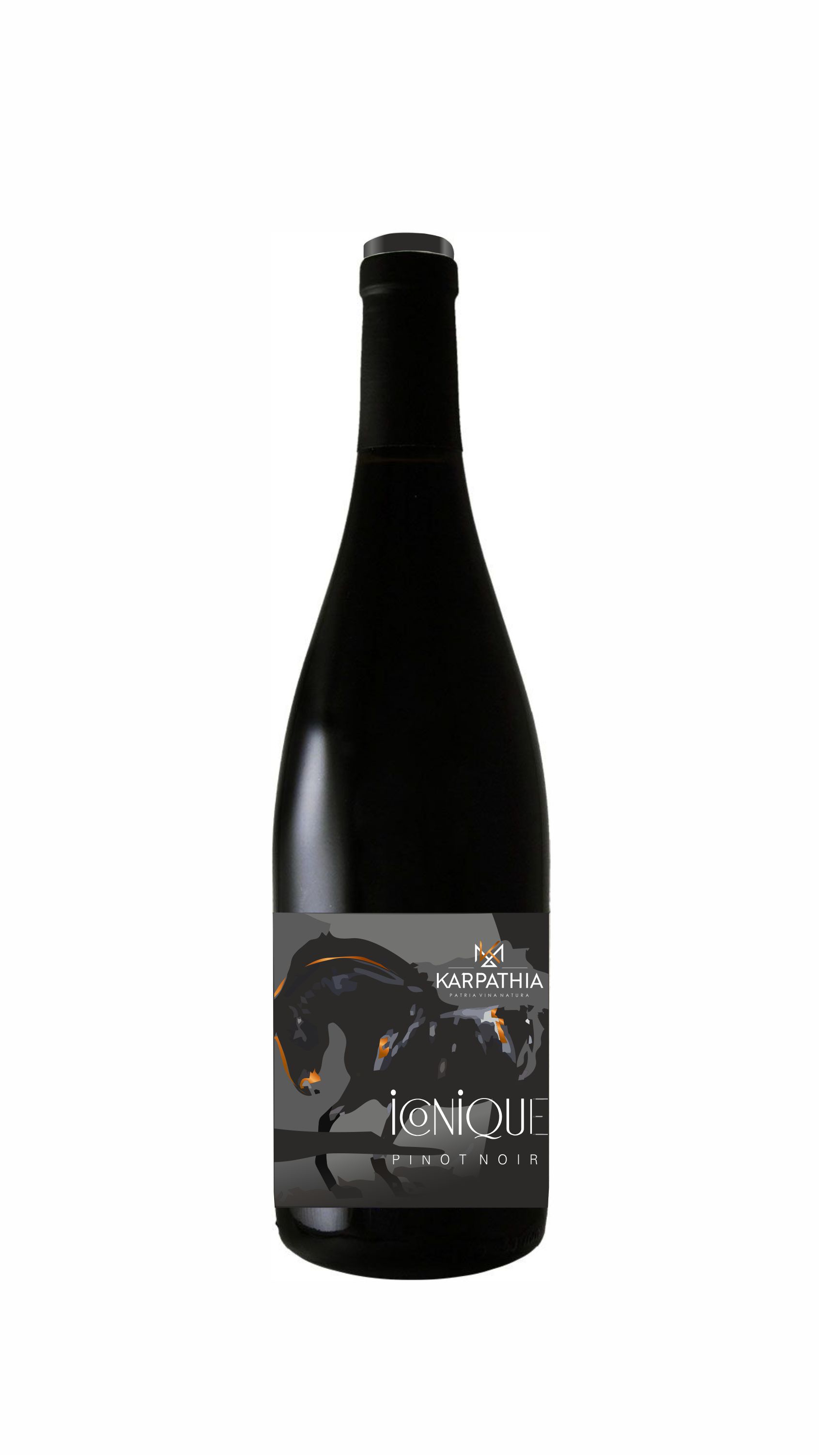 CUVÉE ICONIQUE PINOT NOIR 0.75 PATRIA