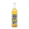 MONIN SWEET & SOUR (PET) MIX  1L