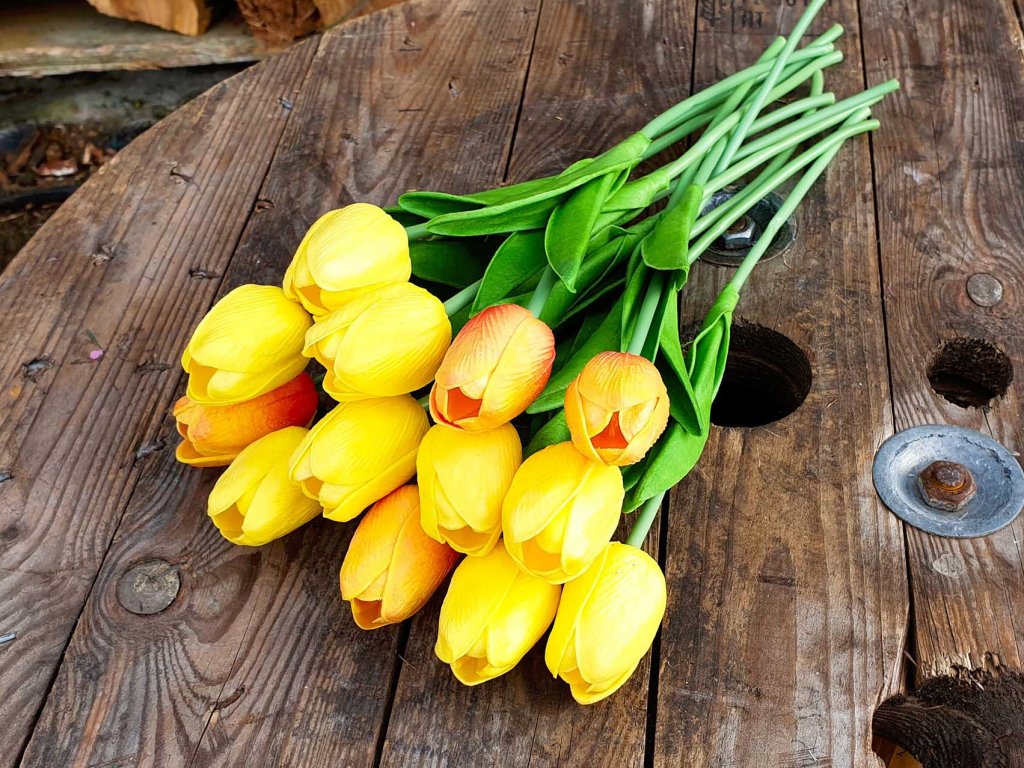 Květiny tulipány