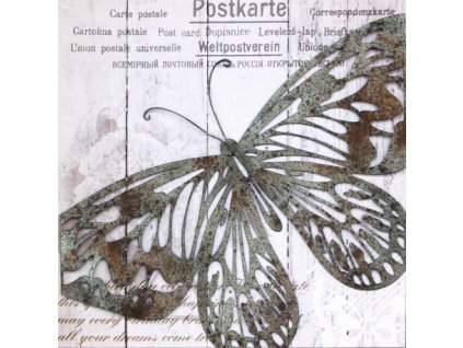 Obraz na plátně motýl 50 x 50 cm