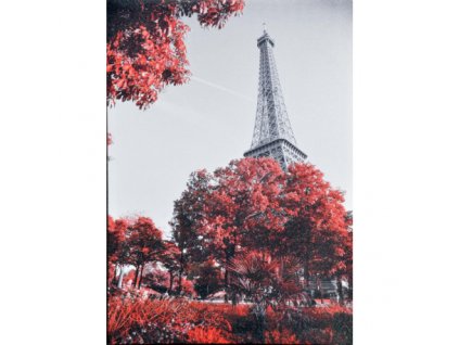 Obraz na plátně Paříž 50 x 70 cm