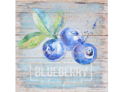 Obraz na plátně BLUEBERRY 28 x 28 cm