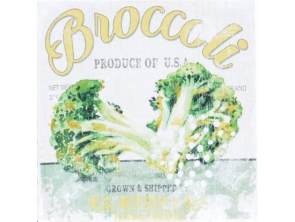 Obraz na plátně BROCCOLI 40 x 40 cm