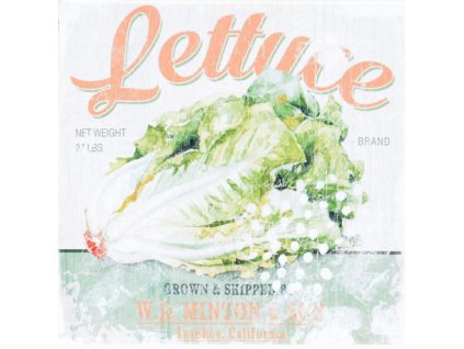 Obraz na plátně LETTUCE 40 x 40 cm