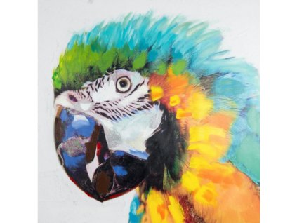 Ručně malovaný obraz s papouškem Ara 100 x 100 cm