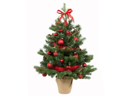 TÉMA 17 STROMEČEK ČERVENÝ 75cm 2048x1536