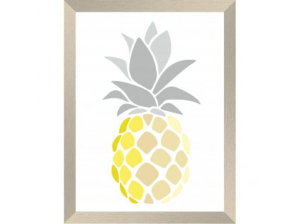 Obraz s rámečkem ananas 18 x 24 cm