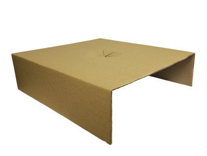 POLÁRNÍ RŮŽOVÁ1