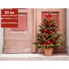 167 3 ozdobeny stromecek cerveny 75 cm