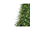 Vánoční stromek DELUXE jedle Oskar 180 cm se SMART LED OSVĚTLENÍM