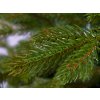 ZAPŮJČENÍ - Vánoční stromek DELUXE jedle Bernard 600 cm